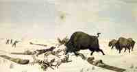 Buffalo Hunt