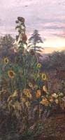 Study of Sunflowers