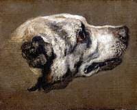 Head of a Hound