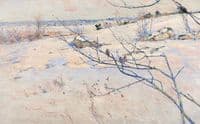Winter Landscape