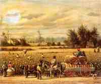 Picking Cotton