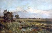 Fisherman and Spinney