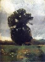 The Oak Tree