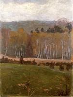 Spring Landscape