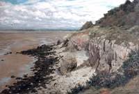 The Shores of the Severn, Worle Wood, Weston-super-Mare