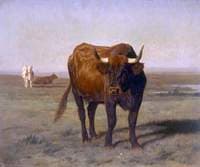 Cattle in Landscape