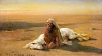 Arab and a Dead Horse