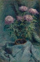 Chrysanthemums