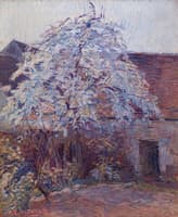 Courtyard in Spring