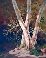 Trees