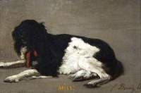 'Miss'