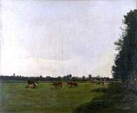 The Meadow
