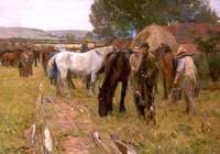 A Country Horse Fair at Hinderwell, North Yorkshire