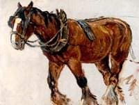 Ploughing Horse