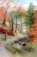 Near Dean Wood, Rivington
