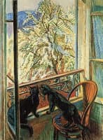 Cats by the Window