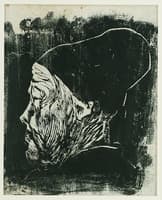 Jølster Woman with Hood