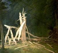 An Oak Tree Struck by Lightning in Dunham Park