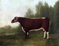 'Garrick': A Bullock
