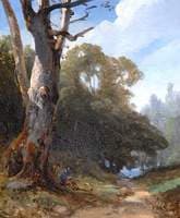 Forest Scene