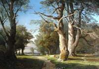 Landscape with Trees and Cattle