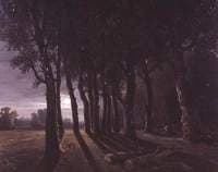 Moonlight in the Forest