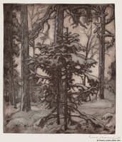 Snowy Forest