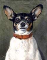 Portrait of a Dog
