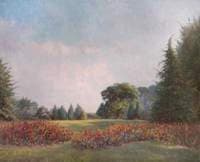 Wallflowers in the Park at Turkdean, Gloucestershire