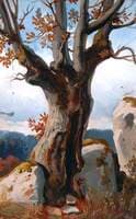 Study of a Tree