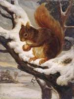 A Red Squirrel Eating a Nut