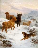Scotch Rebels