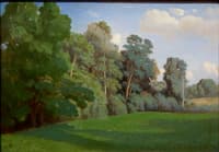 Study of Trees at Mortefontaine