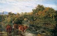 On the Dart, Devon