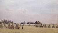 Harvested Field