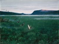 Twelve Wild Ducks