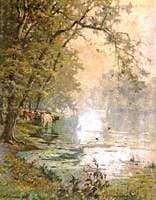 Cows in a Stream