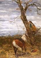 The Reconnaissance