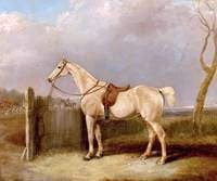 Tethered Horse and Hunt