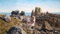 Rocks, Scilly