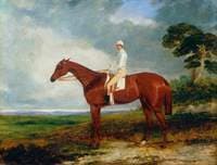 1844 Oaks Winner 'Princess' with Jockey