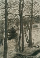 Naked Trees