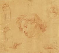 Studies of a Boy's Head, Hands and Face