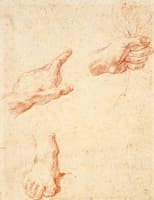Studies of Hands and a Foot