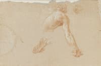 Study of Torso, Head and Foot