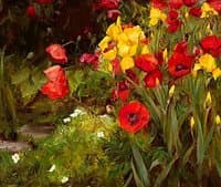 Poppies and Irises