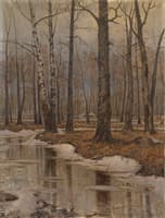 Birch Trees in Spring