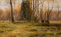 Bialowieza Forest