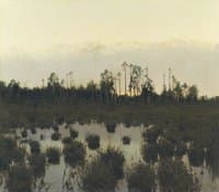 Evening in the Tundra