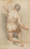 Male Academie